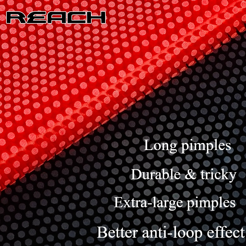 Reach C-8 C-801 Table-tennis R - Table Tennis For Sale ulasan dan harga