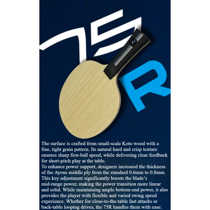 SANWEI 75R 5+2 Outer H-GLC Tab - Table Tennis Paddle ulasan dan harga